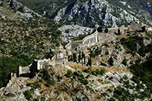 Dalmatian: REPUBLIC OF MONTENEGRO. Kotor. The wall