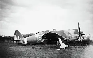 P 47: Republic P-47 Thunderbolt