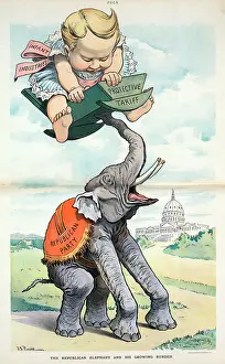 Tariff: The Republican elephant and his growing burden