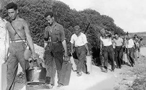 Bring: Republican fighters in Mallorca, 1936