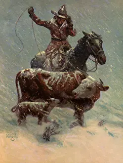 Cowgirls: Rescued