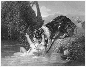 Waking: RESCUED BY NEWFOUNDLAND