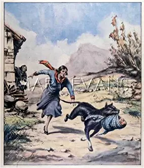 Retrieves: RESCUED FROM ROVER