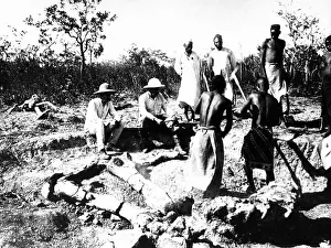 Nails: Research group excavating a dinosaur skeleton, 1908