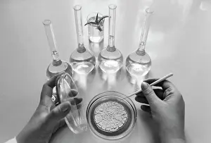 Fungal: Research Institute