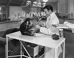 Labs: Research scientist animal testing in the laboratory