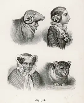 Resemblance: Resemblance of animals and their owners