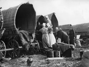Colonist: Resettlement of ethnic Germans from Bessarabia, the fall