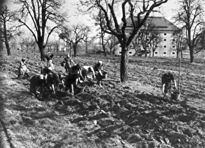 Forcibly: Resettlement of Sudetenland