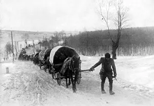 Volhynian: Resettlement of Volhynian Germans, 1940
