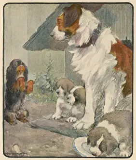 Respectful: RESPECTFUL DOG