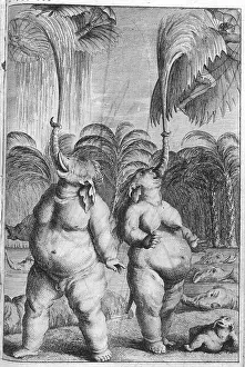 Birdmen: RESTIF - ELEPHANTMEN
