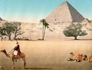 Bedouins: Resting Bedouins and the Grand Pyramid, Cairo, Egypt