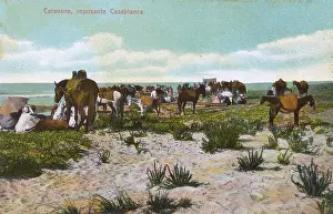 Feb17: Resting caravan - Casablanca, Morocco