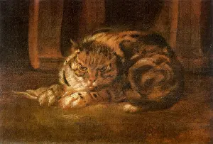 Jordaens: Resting Cat