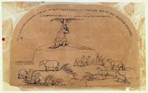 Eutheria: Restorations of animals from Tertiary period