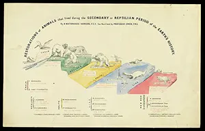 Plesiosaurus: Restorations of secondary period animals