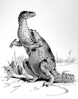 Predators: Restored figure of the Iguanodon