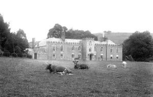 Restormel: Restormel, House 1906