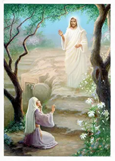 Risen: The Resurrection
