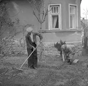 Raking: Retired persons in Sudetenland