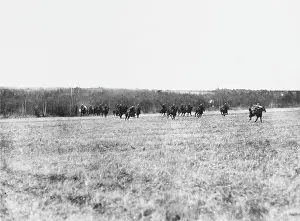 Aisne: Retiring German cavalry WWI