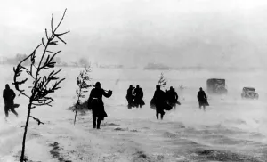 Partly: Retreat of German troops on the Eastern Front, 1941/42