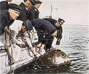 Retrieving: RETRIEVING MINES/1919