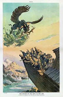 Reduced: The return of the dove to the ark