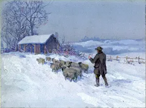 Snowscene: The Return of the Flock - snowscene