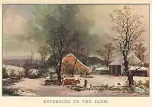 Lumber: Returning to the Farm