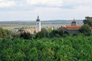 Retz: Retz in the Weinviertel