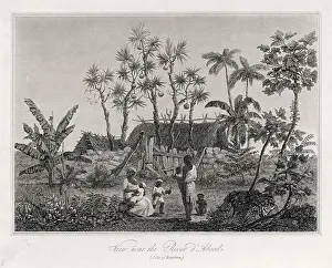 Reunion: REUNION / NATIVE HOME