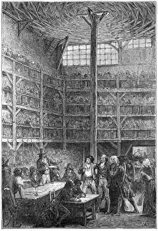 Tribunal: REVOLUTIONARY TRIBUNAL