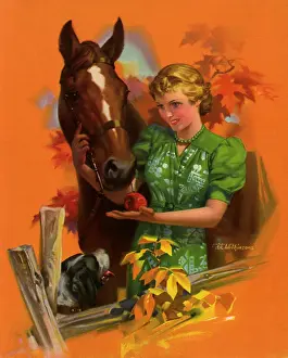 Illustr: Rewarding Horse with Apple