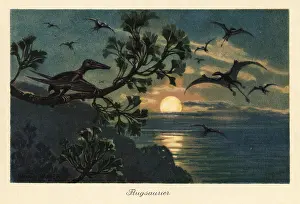Rhamphorhynchus: Rhamphorhynchus pterosaurs flying in the moonlight
