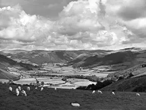 Cardiganshire: RHEIDOL VALLEY