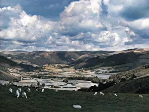 Cardiganshire: RHEIDOL VALLEY