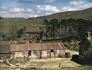 Cardiganshire: RHEIDOL VALLEY
