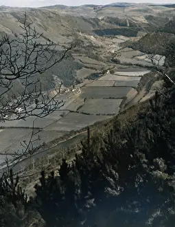 Cardiganshire: RHEIDOL VALLEY