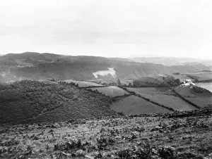 Rheidol: RHEIDOL VALLEY STAG