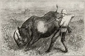 Veldt: RHINO HUNT IN AFRICA