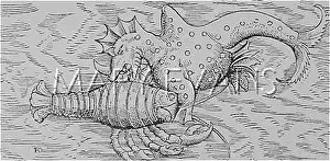 Devours: RHINO-SHARK