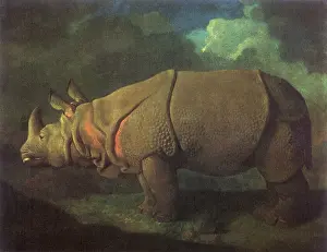 Rhino: Rhinoceros, by Stubbs
