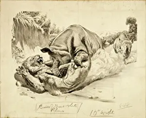 Charging: Rhinos attack a Lion
