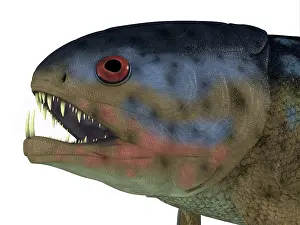Menacing: Rhizodus fish portrait