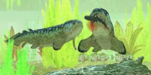 Osteichthyes: Rhizodus hibberti, an extinct group of Carboniferous ?