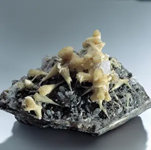 Greville: Rhodochrosite manganocalcite