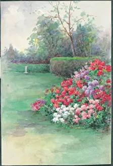 Hedging: Rhododendhron hedge