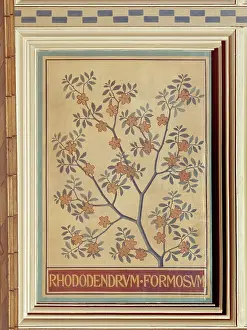 Asterid: Rhododendron formosum